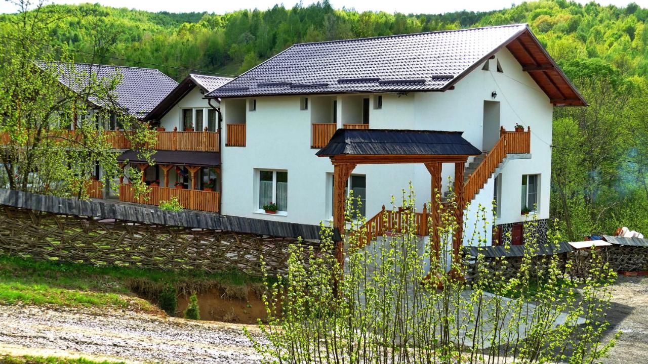 Гостевой дом Casa Papițu Ваду-Изей-4