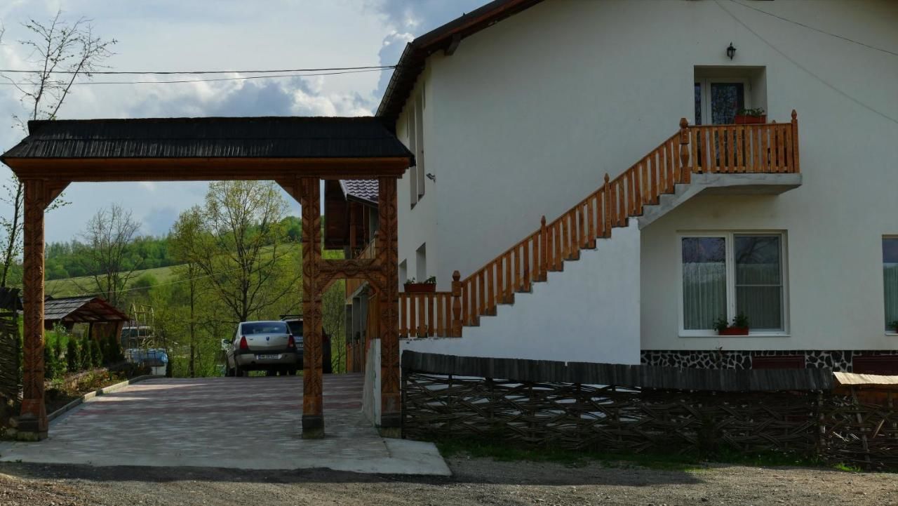Гостевой дом Casa Papițu Ваду-Изей-21
